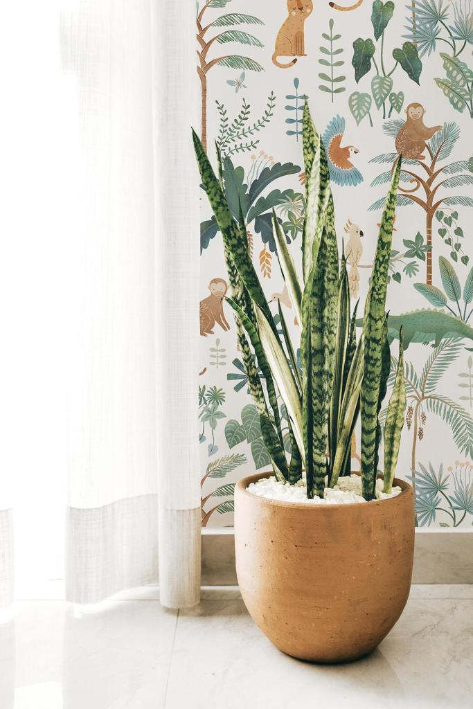 Organisch vloerverzorgde planten in terracotta pot tegen kleurrijk junglebehang met kindvriendelijk palm- en dierenthema. - Default Title - Yatsuni Wild | Lilipinso - behang, jungle, kinderkamer, kinderkamer behang, lilipinso, palm, vliesbehang, Yatsuni - Casa Mini