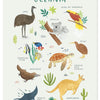 Kinderkamerposter Oceanië met kleurrijke, organische illustraties van dieren zoals kangoeroe, koala, schildpad en. - Poster Oceanië | Lilipinso - Default Title - kinderkamer, lilipinso, living earth, Oceanië, Zuid Amerika - Casa Mini