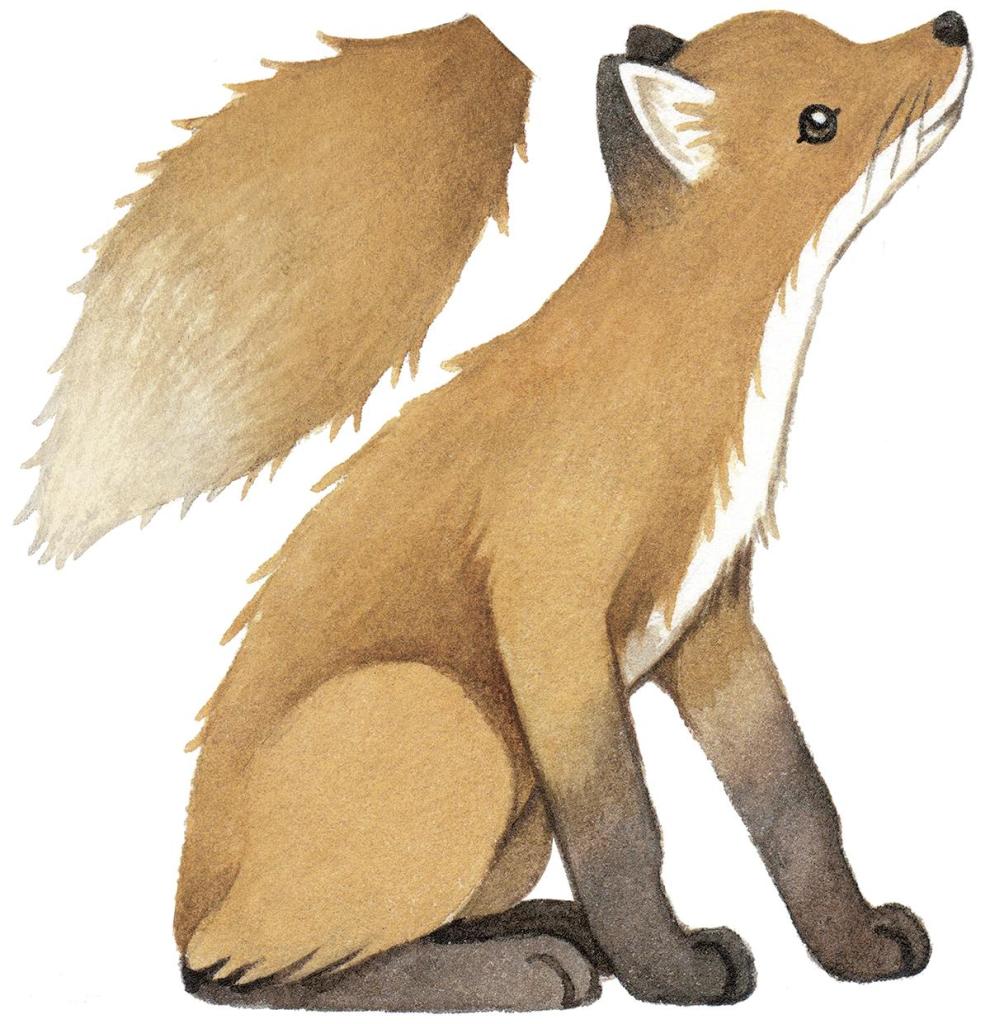 Organische, kindvriendelijke muurstickers van een bruin-met-beige vos met zachte details, perfect voor kinderkamerdecoratie. - Muursticker | Forest Fox - Default Title - fox, kinderkamer, lilipinso, Muursticker, Vos - Casa Mini
