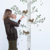 Organische, veilige muurstickers van een berkenboom met groene bladeren en bruine eekhoorns, perfect voor een kinderkamer en . - Default Title - Muursticker | Kharu Tree - boom, Kharu, kinderkamer, lilipinso, Muursticker - Casa Mini