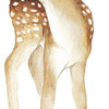 Organische muurstickers van een bruin hertje met witte vlekken, ideaal voor veilig, kindvriendelijk kinderinterieur en. - Default Title - Muursticker | Oh Deer Fawn - hert, kinderkamer, lilipinso, Muursticker, oh deer - Casa Mini
