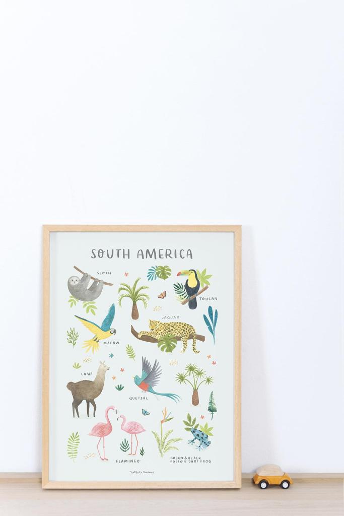 Kinderkamer poster Zuid-Amerika met organische, veilige illustraties van dieren en planten in zachte kleuren,. - Poster Zuid Amerika | Lilipinso - Default Title - bloemen en bladeren, kinderkamer, lilipinso, living earth, Noord Amerika, Zuid Amerika - Casa Mini