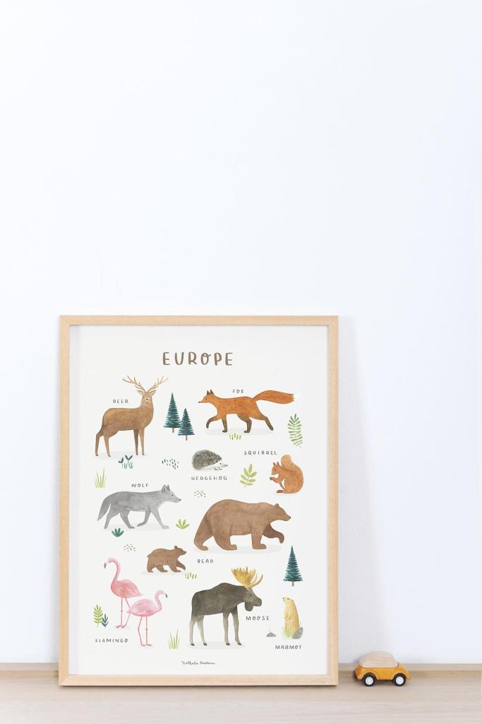 Kinderkamerposter Europa met organische, kindvriendelijke illustraties van dieren en bloemen in zachte aardetinten,. - Poster Europa | Lilipinso - Default Title - bloemen en bladeren, Europa, kinderkamer, lilipinso, living earth, Noord Amerika - Casa Mini