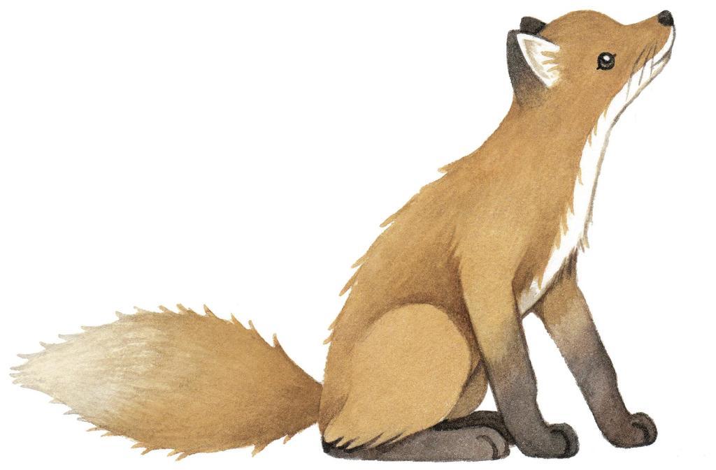 Organische, kindvriendelijke muurstickervos in warme bruine tinten, geschikt voor kinderkamerdecoratie met multifunctioneel. - Muursticker | Forest Fox - Default Title - fox, kinderkamer, lilipinso, Muursticker, Vos - Casa Mini