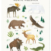 Organisch ontworpen, kindvriendelijke poster voor kinderkamer met illustraties van Noord-Amerikaanse dieren zoals eland,. - Poster Noord Amerika | Lilipinso - Default Title - bloemen en bladeren, kinderkamer, lilipinso, living earth, Noord Amerika - Casa Mini
