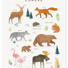 Organische poster Europa met kleurrijke dieren en planten, veilig en kindvriendelijk voor de kinderkamer, multifunctioneel. - Poster Europa | Lilipinso - Default Title - bloemen en bladeren, Europa, kinderkamer, lilipinso, living earth, Noord Amerika - Casa Mini