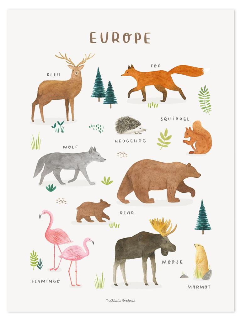 Organische poster Europa met kleurrijke dieren en planten, veilig en kindvriendelijk voor de kinderkamer, multifunctioneel. - Poster Europa | Lilipinso - Default Title - bloemen en bladeren, Europa, kinderkamer, lilipinso, living earth, Noord Amerika - Casa Mini