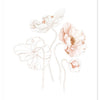 Poster met zachte roze en beige klaprozen, organisch en kindvriendelijk ontwerp, ideaal voor kinderkamer, multifunctionele. - Poster Poppie (2stuks) | Lilipinso - Default Title - bloemen, Islandic poppies, kinderkamer, klaprozen, lilipinso, rozen - Casa Mini