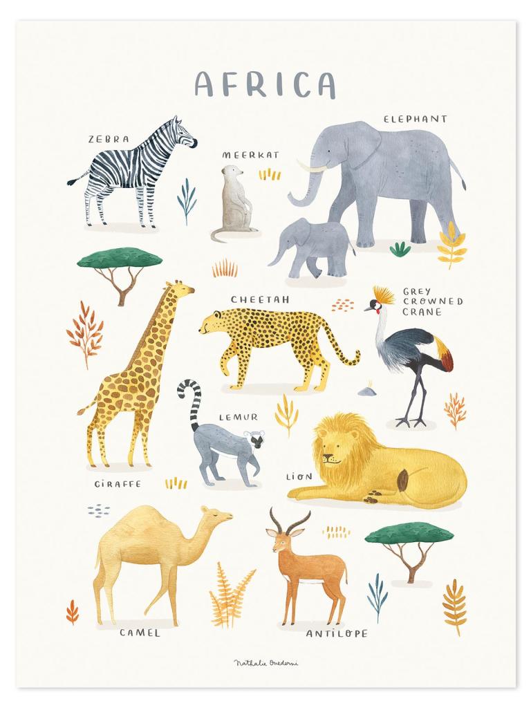 Poster voor kinderkamer met organische, kindvriendelijke illustraties van Afrikaanse dieren in zachte pastelkleuren,. - Poster Afrika | Lilipinso - Default Title - Afrika, bloemen en bladeren, kinderkamer, lilipinso, living earth, Noord Amerika - Casa Mini